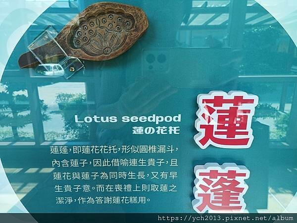 宜蘭蘇澳伴手禮／來宜蘭餅發明館認識宜蘭餅的前世今生，再買好吃