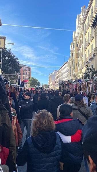 西班牙2024西班牙自由行-馬德里市內景點-馬德里城市原點，太陽廣場，樹與莓果，麗池公園，馬德里王宮