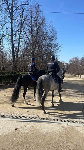 西班牙2024西班牙自由行-馬德里市內景點-馬德里城市原點，太陽廣場，樹與莓果，麗池公園，馬德里王宮