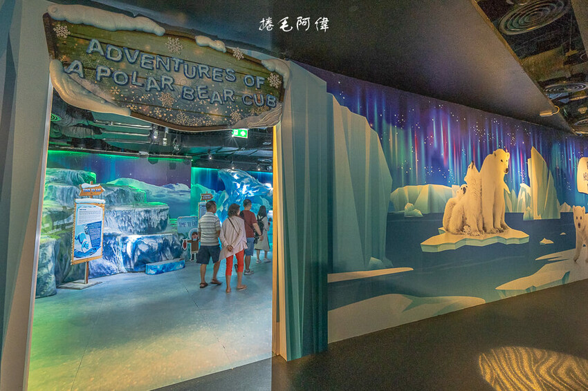 泰國暹羅海洋世界 | 曼谷室內景點推薦!東南亞最大水族館揭開繽紛海底世界~