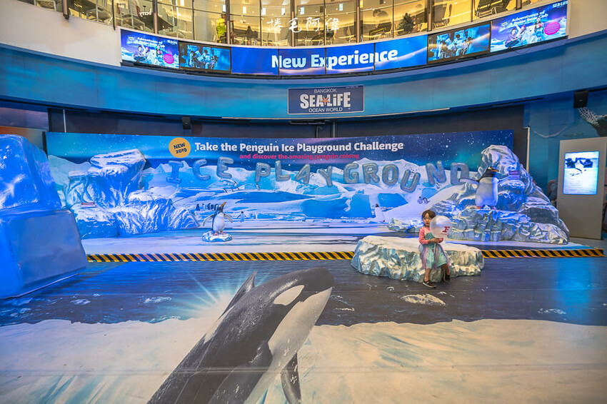 泰國暹羅海洋世界 | 曼谷室內景點推薦!東南亞最大水族館揭開繽紛海底世界~