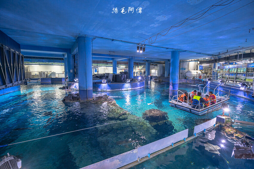 泰國暹羅海洋世界 | 曼谷室內景點推薦!東南亞最大水族館揭開繽紛海底世界~
