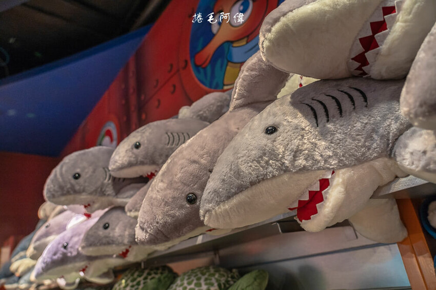 泰國暹羅海洋世界 | 曼谷室內景點推薦!東南亞最大水族館揭開繽紛海底世界~