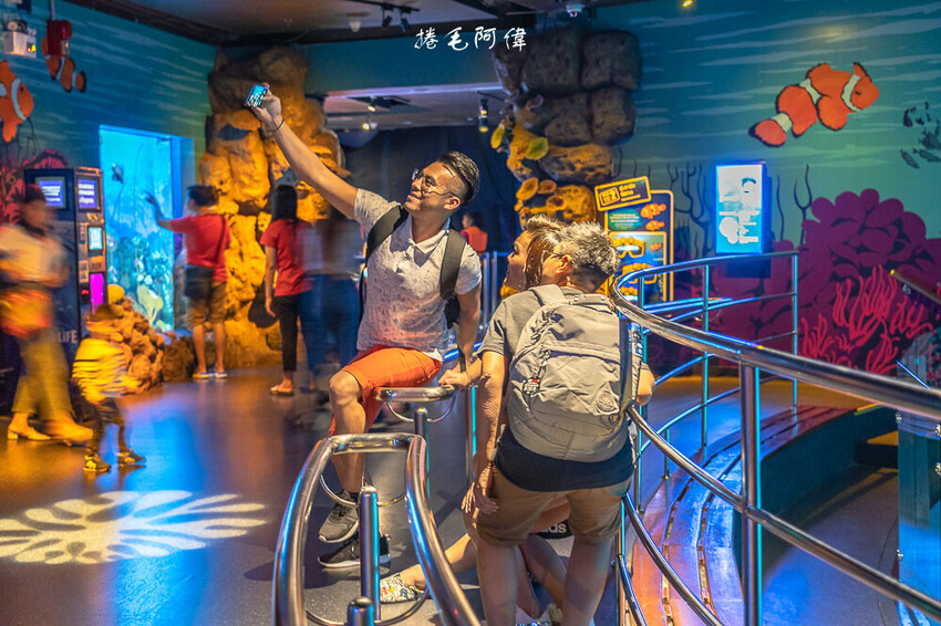 泰國暹羅海洋世界 | 曼谷室內景點推薦!東南亞最大水族館揭開繽紛海底世界~