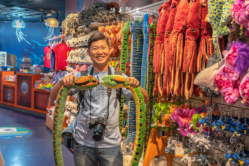 泰國暹羅海洋世界 | 曼谷室內景點推薦!東南亞最大水族館揭開繽紛海底世界~