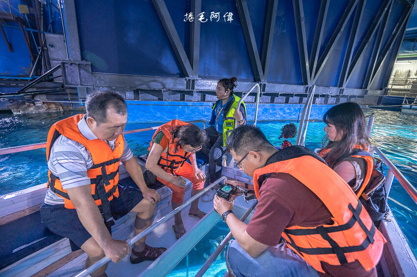 泰國暹羅海洋世界 | 曼谷室內景點推薦!東南亞最大水族館揭開繽紛海底世界~