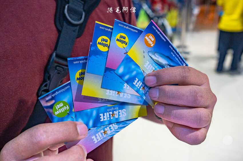 泰國暹羅海洋世界 | 曼谷室內景點推薦!東南亞最大水族館揭開繽紛海底世界~