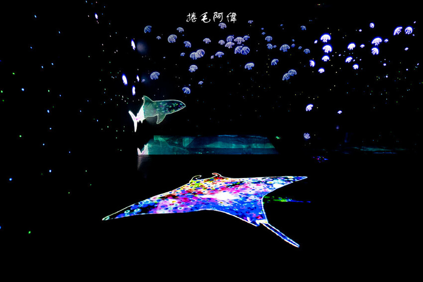 泰國暹羅海洋世界 | 曼谷室內景點推薦!東南亞最大水族館揭開繽紛海底世界~