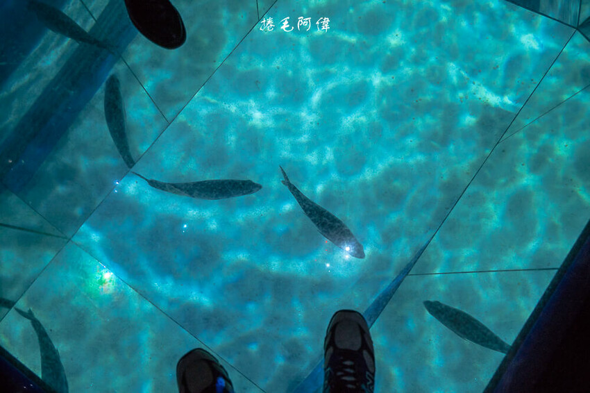 泰國暹羅海洋世界 | 曼谷室內景點推薦!東南亞最大水族館揭開繽紛海底世界~