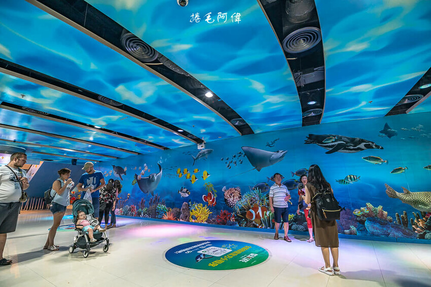 泰國暹羅海洋世界 | 曼谷室內景點推薦!東南亞最大水族館揭開繽紛海底世界~