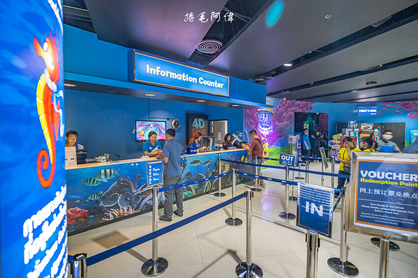 泰國暹羅海洋世界 | 曼谷室內景點推薦!東南亞最大水族館揭開繽紛海底世界~