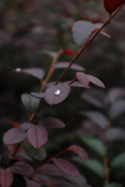 113年中華民國雙十國慶 - 雙溪火車站周邊 - 地下道