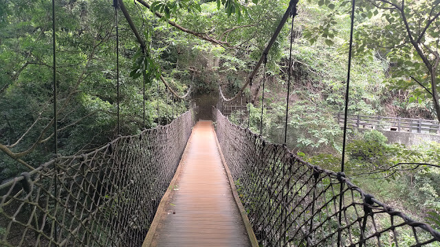 小烏來風景特定區 - 和平吊橋 小烏來風景特定區 - 和平吊橋