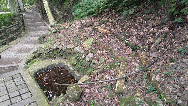 小烏來風景特定區 - 森林步道 小烏來風景特定區 - 森林步道