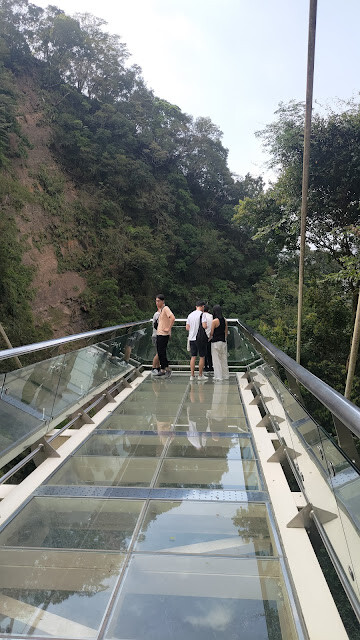 小烏來風景特定區 - 天空步道 小烏來風景特定區 - 天空步道