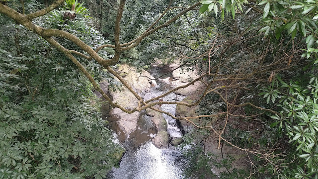 小烏來風景特定區 - 和平吊橋 小烏來風景特定區 - 和平吊橋