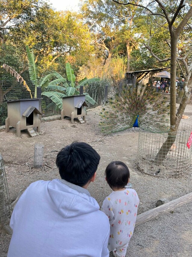 新竹市香山區【新竹親子農場推薦】盤點 3 個北部親子農場，周末溜孩就來這！羊駝散步、採果摘菜樣樣有