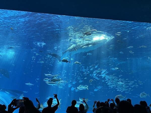 【國外旅遊】2024/09/04 我們在沖繩的日子 D4-1