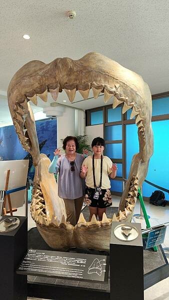 LINE_ALBUM_沖繩旅遊94 美麗海博物館 美國村_241023_1