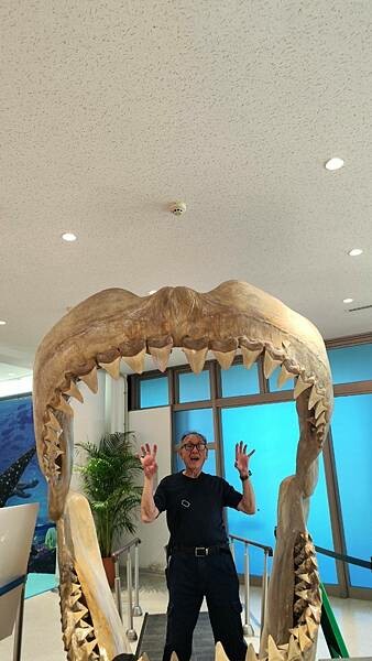 LINE_ALBUM_沖繩旅遊94 美麗海博物館 美國村_241023_3