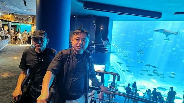 LINE_ALBUM_沖繩旅遊94 美麗海博物館 美國村_241023_1