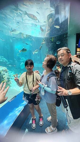 LINE_ALBUM_沖繩旅遊94 美麗海博物館 美國村_241023_3