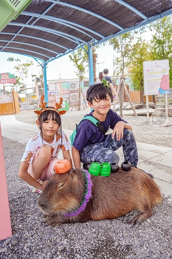 審稿專用 審稿專用