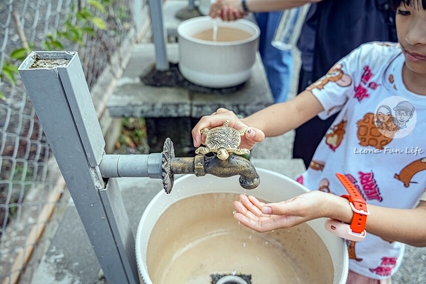 2024宜蘭親子必訪!星夢森林劇場-超萌握手水豚、造型雪花冰,拍貼、戲水獨木舟,親子共遊最棒選擇!DSC08310-2.jpg 2024宜蘭親子必訪!星夢森林劇場-超萌握手水豚、造型雪花冰,拍貼、戲水獨木舟,親子共遊最棒選擇!DSC08310-2.jpg