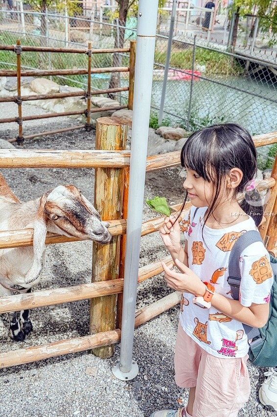 2024宜蘭親子必訪!星夢森林劇場-超萌握手水豚、造型雪花冰 2024宜蘭親子必訪!星夢森林劇場-超萌握手水豚、造型雪花冰