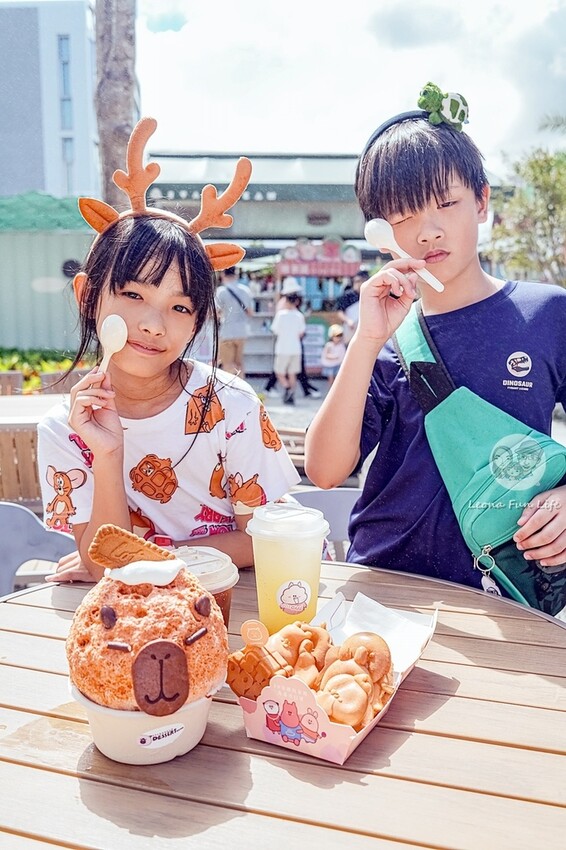 審稿專用 審稿專用