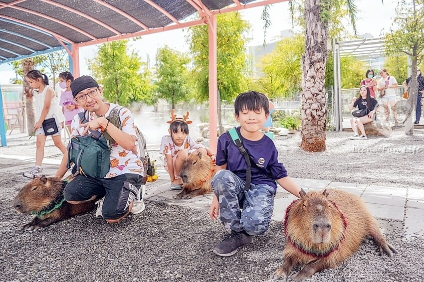 審稿專用 審稿專用