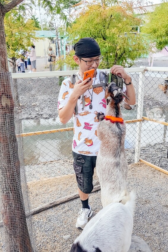 審稿專用 審稿專用