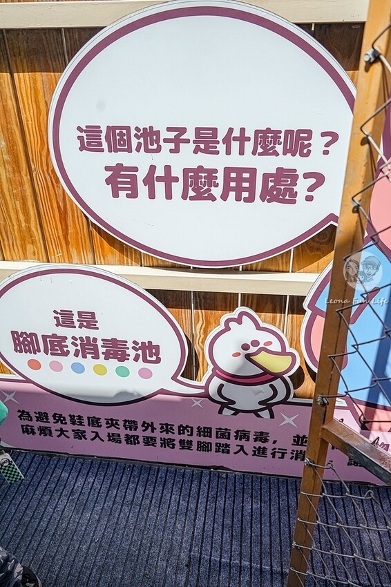 2024宜蘭親子必訪!星夢森林劇場-超萌握手水豚、造型雪花冰,拍貼、戲水獨木舟,親子共遊最棒選擇!DSC08129-2.jpg 2024宜蘭親子必訪!星夢森林劇場-超萌握手水豚、造型雪花冰,拍貼、戲水獨木舟,親子共遊最棒選擇!DSC08129-2.jpg