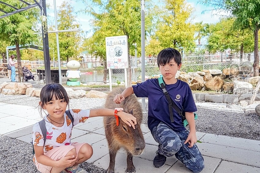 審稿專用 審稿專用