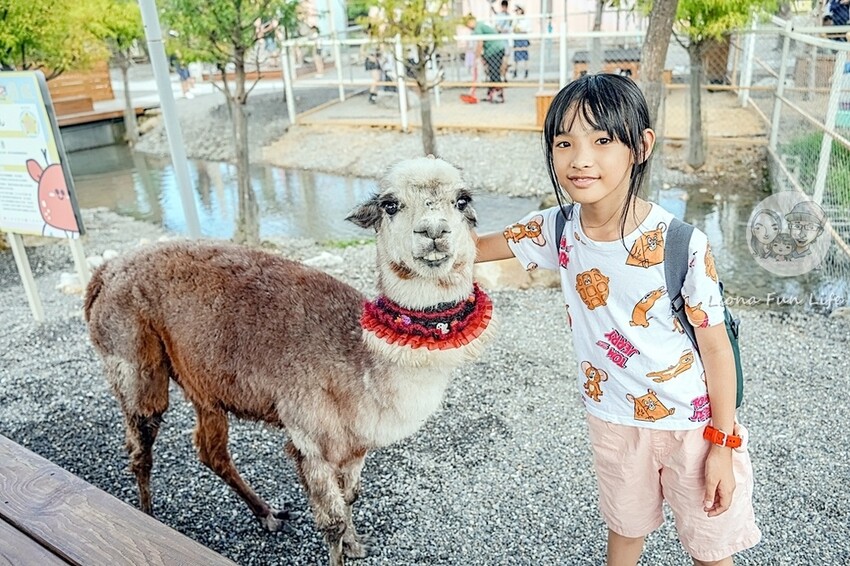 ▲宜蘭冬山農場景點推薦：星夢森林劇場，近距離接觸羊駝等動物 /利歐娜樂生活 Leona Fun Life 提供、WalkerLand窩客島整理