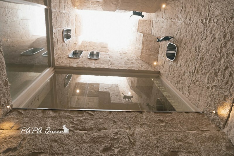 台中市西區BUTTER HOTEL 奶油飯店 :整棟4層 給玩給吃不給住！免門票