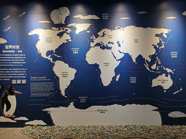 寶熊漁樂碼頭13