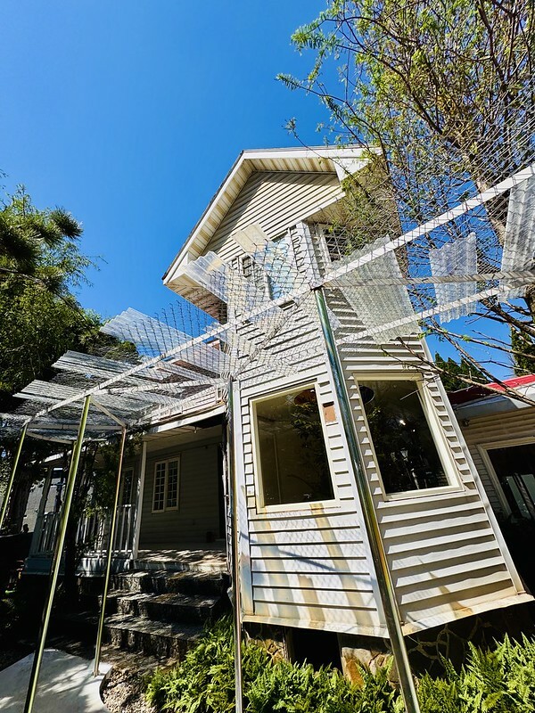 桃園市|龜山區|龜山植藝實驗所:慢活森林裡的藝文饗宴,讓你一秒愛上森林系生活。(龜山新地標/桃園老屋/RëBORN CAFE泳池咖啡廳)