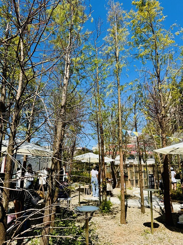 桃園市|龜山區|龜山植藝實驗所:慢活森林裡的藝文饗宴,讓你一秒愛上森林系生活。(龜山新地標/桃園老屋/RëBORN CAFE泳池咖啡廳)