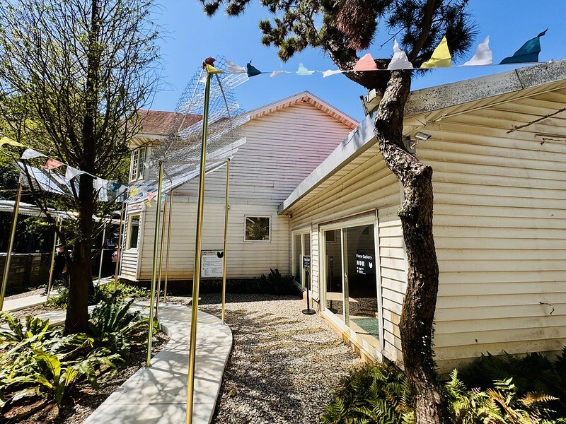 桃園市|龜山區|龜山植藝實驗所:慢活森林裡的藝文饗宴,讓你一秒愛上森林系生活。(龜山新地標/桃園老屋/RëBORN CAFE泳池咖啡廳)