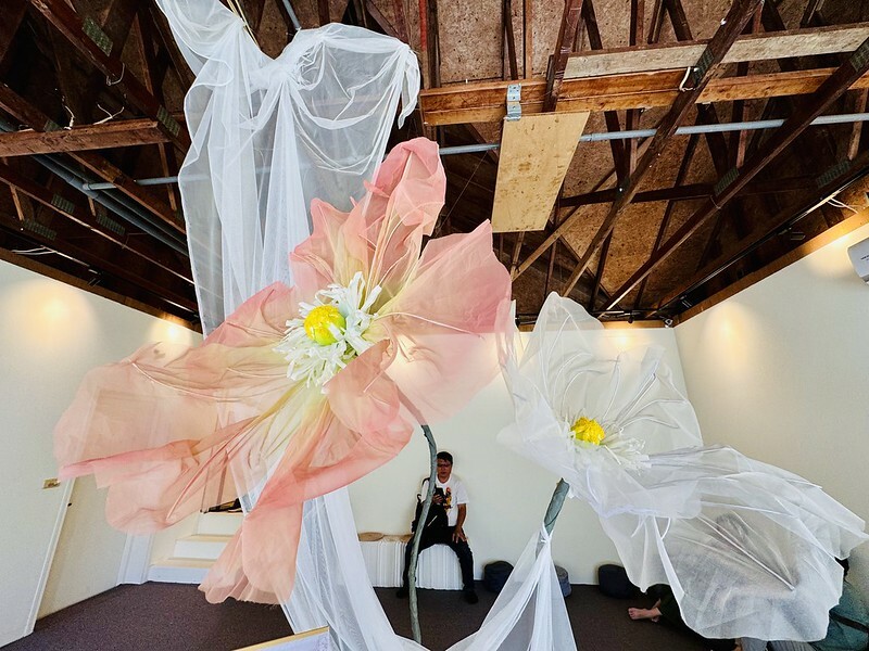 桃園市|龜山區|龜山植藝實驗所:慢活森林裡的藝文饗宴,讓你一秒愛上森林系生活。(龜山新地標/桃園老屋/RëBORN CAFE泳池咖啡廳)