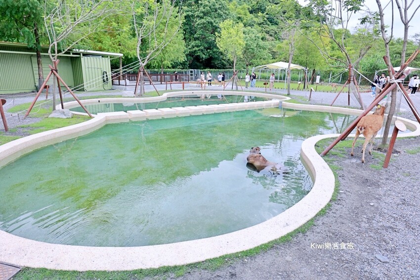 宜蘭縣宜蘭市宜蘭斑比山丘Bambi Land｜冬山親子景點必訪小奈良餵食鹿鹿好療癒，鹿鹿抽愛情籤詩～好拍也好玩！