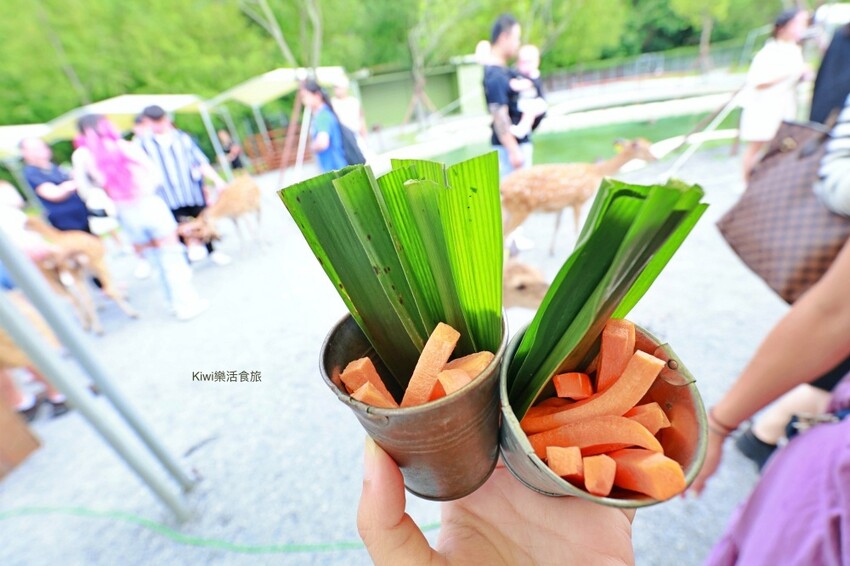 宜蘭縣宜蘭市宜蘭斑比山丘Bambi Land｜冬山親子景點必訪小奈良餵食鹿鹿好療癒，鹿鹿抽愛情籤詩～好拍也好玩！