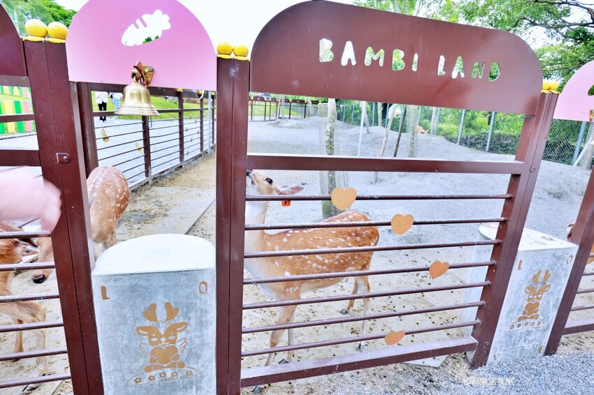 宜蘭縣宜蘭市宜蘭斑比山丘Bambi Land｜冬山親子景點必訪小奈良餵食鹿鹿好療癒，鹿鹿抽愛情籤詩～好拍也好玩！