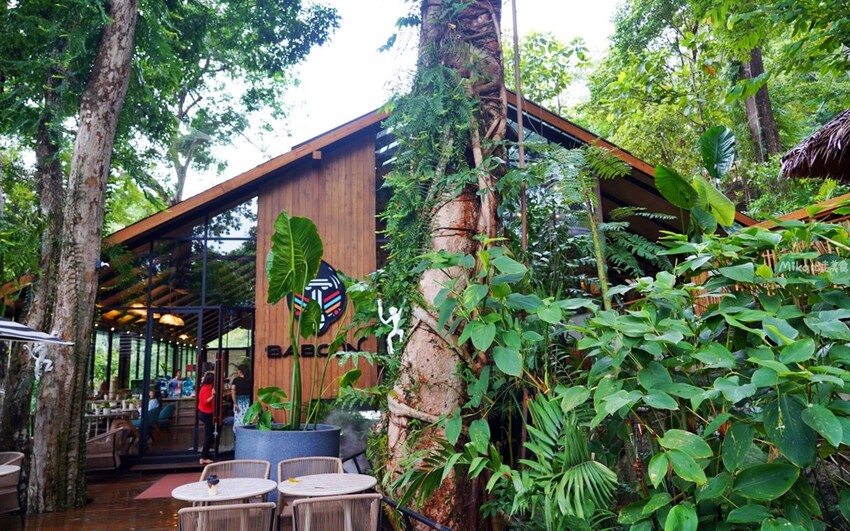 普吉島超人氣三隻猴子餐廳!原始叢林美景中的下午茶,搭配刺激的滑索體驗。