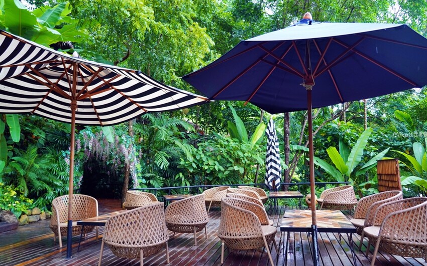 普吉島超人氣三隻猴子餐廳!原始叢林美景中的下午茶,搭配刺激的滑索體驗。