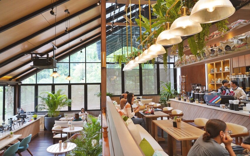 普吉島超人氣三隻猴子餐廳!原始叢林美景中的下午茶,搭配刺激的滑索體驗。