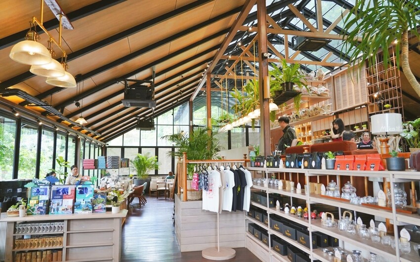 普吉島超人氣三隻猴子餐廳!原始叢林美景中的下午茶,搭配刺激的滑索體驗。