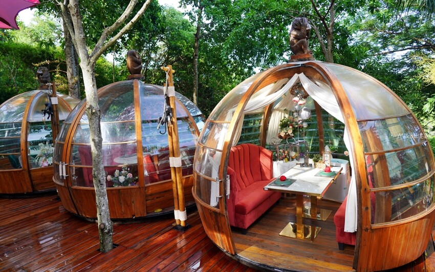 普吉島超人氣三隻猴子餐廳!原始叢林美景中的下午茶,搭配刺激的滑索體驗。