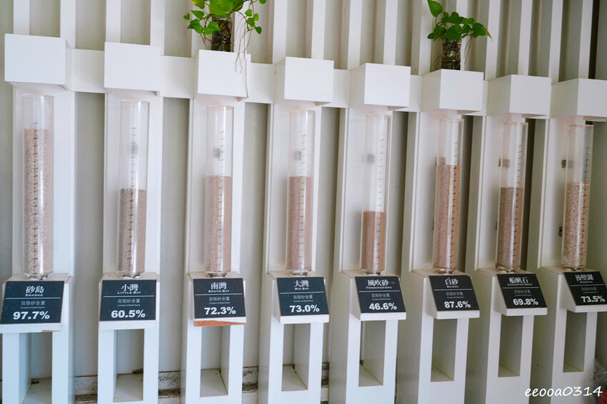 美到像在國外度假「砂島生態保護區」,墾丁最純淨貝殼砂沙灘! 美到像在國外度假「砂島生態保護區」,墾丁最純淨貝殼砂沙灘!